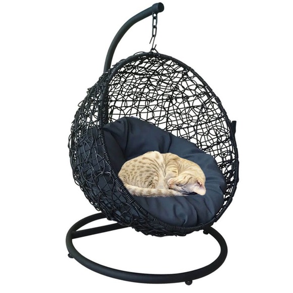 swinging egg chair for dogs